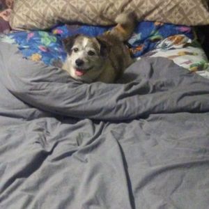 Meet your Posher, Heidi